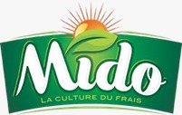 Logo Mido Conserverie Maroc